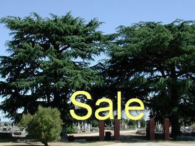 Thumbnails\Sale_s11.jpg